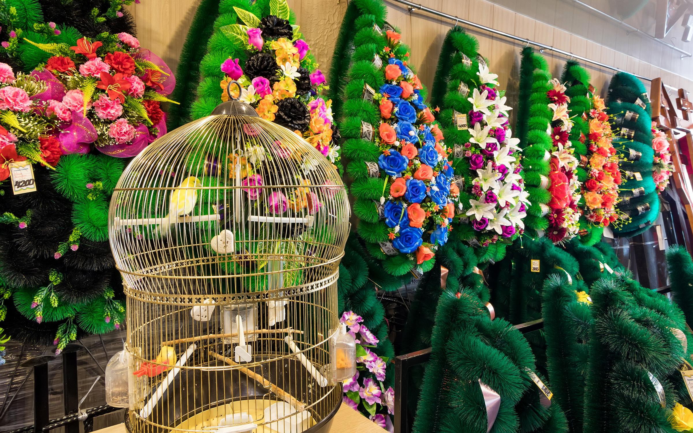 Социальная ритуальная служба Иркутский некрополь на улице Тимирязева ...