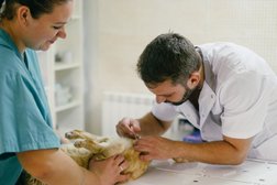 Ветеринарная клиника Мобилвет, с рейтингом 4.5 - находится по адресу Московская область, Одинцово, улица Чистяковой, 66 