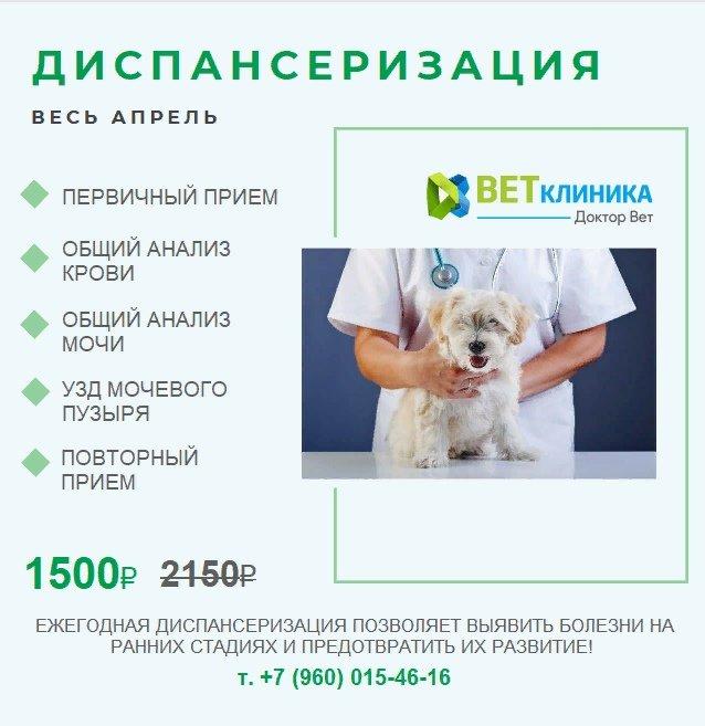 Доктор Вет Интернет Магазин