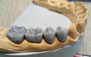 фотография работы врача Светланы Альбертовны Губич