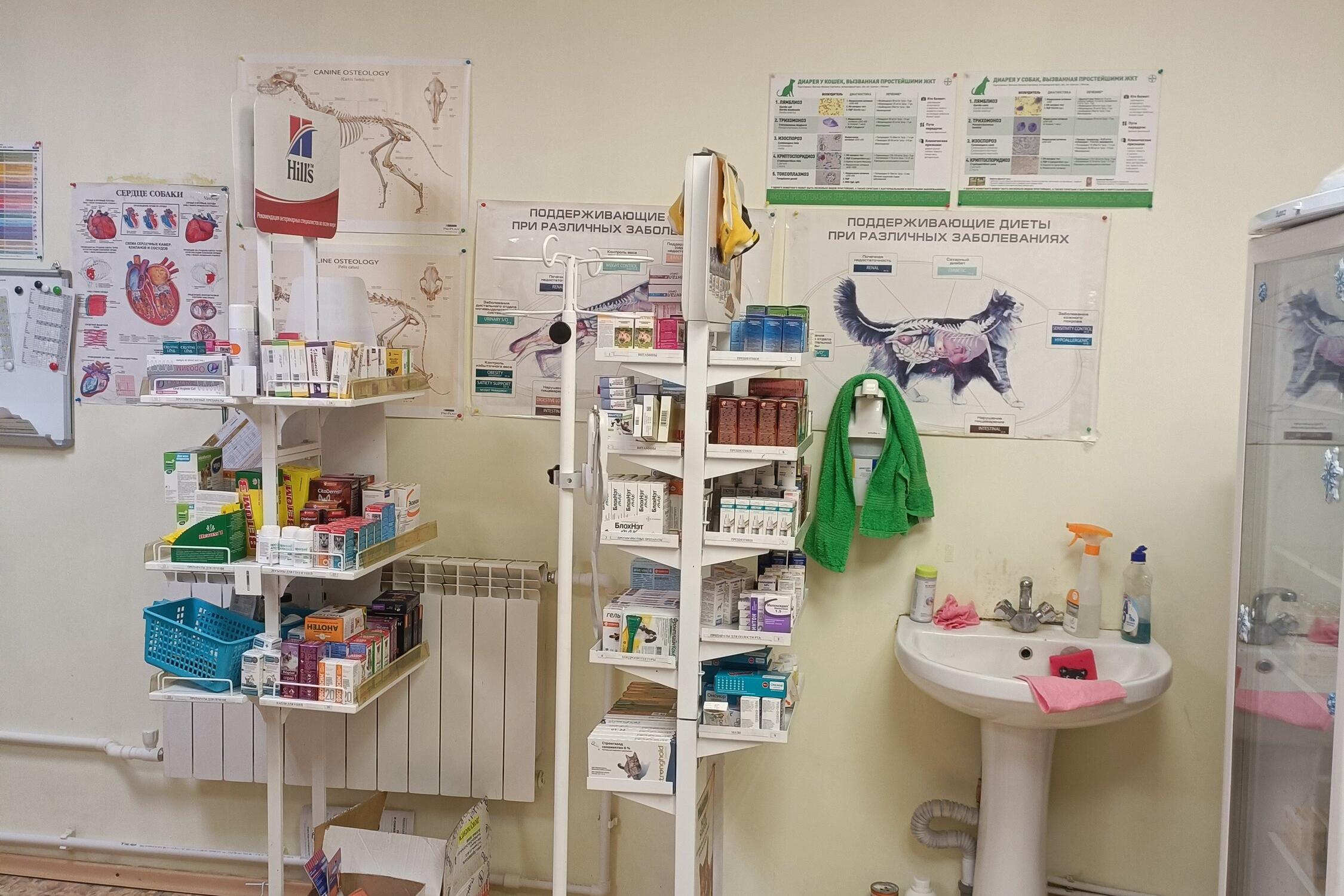 Круглосуточные ветеринарные клиники в архангельске. Информационный стенд в ветеринарной клинике. Круглосуточные ветеринарные клиники в архангельске. Круглосуточная ветклиника. Круглосуточные ветеринарные клиники в архангельске.