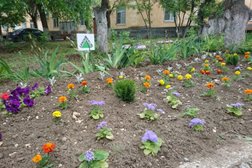 Клиническая больница №5 гинекологическое отделение, с рейтингом 3.3 - находится по адресу Волгоград, Пельше, 2 к1 