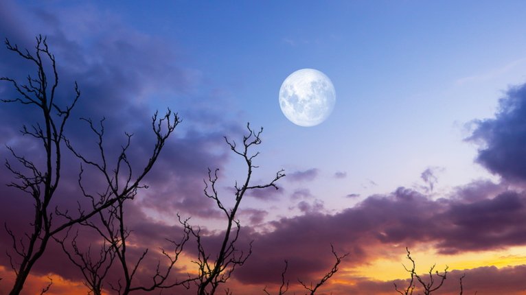 Источник фото: Gergitek / Shutterstock