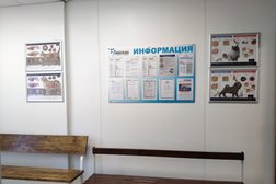 Ветеринарная клиника Пингвин, с рейтингом 3.9 - находится по адресу Саратов, Высокая улица, 6 