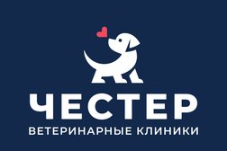 Ветеринарная клиника Честер, с рейтингом 3.7 - находится по адресу Санкт-Петербург, Авиаконструкторов проспект, 61 ст1 