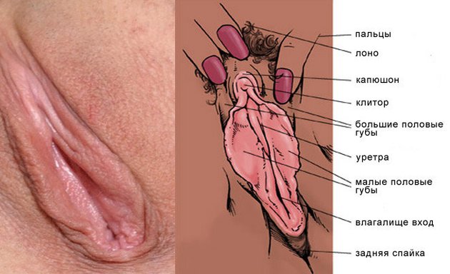 shartash66.ru | эротические и порно рассказы