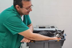 Ветеринарная клиника доктора Самонова, с рейтингом 4.9 - находится по адресу Москва, Измайловский проезд, 14, корп. 2 