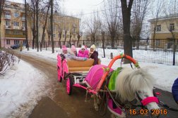 Детский сад №60, с рейтингом 2.9 - находится по адресу Иваново, 1-я Меланжевая улица, 3/4 