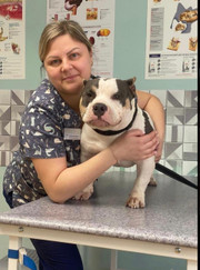 Ветеринарный врач УЗИ, ветеринар Любовь Вячеславовна Жаркова