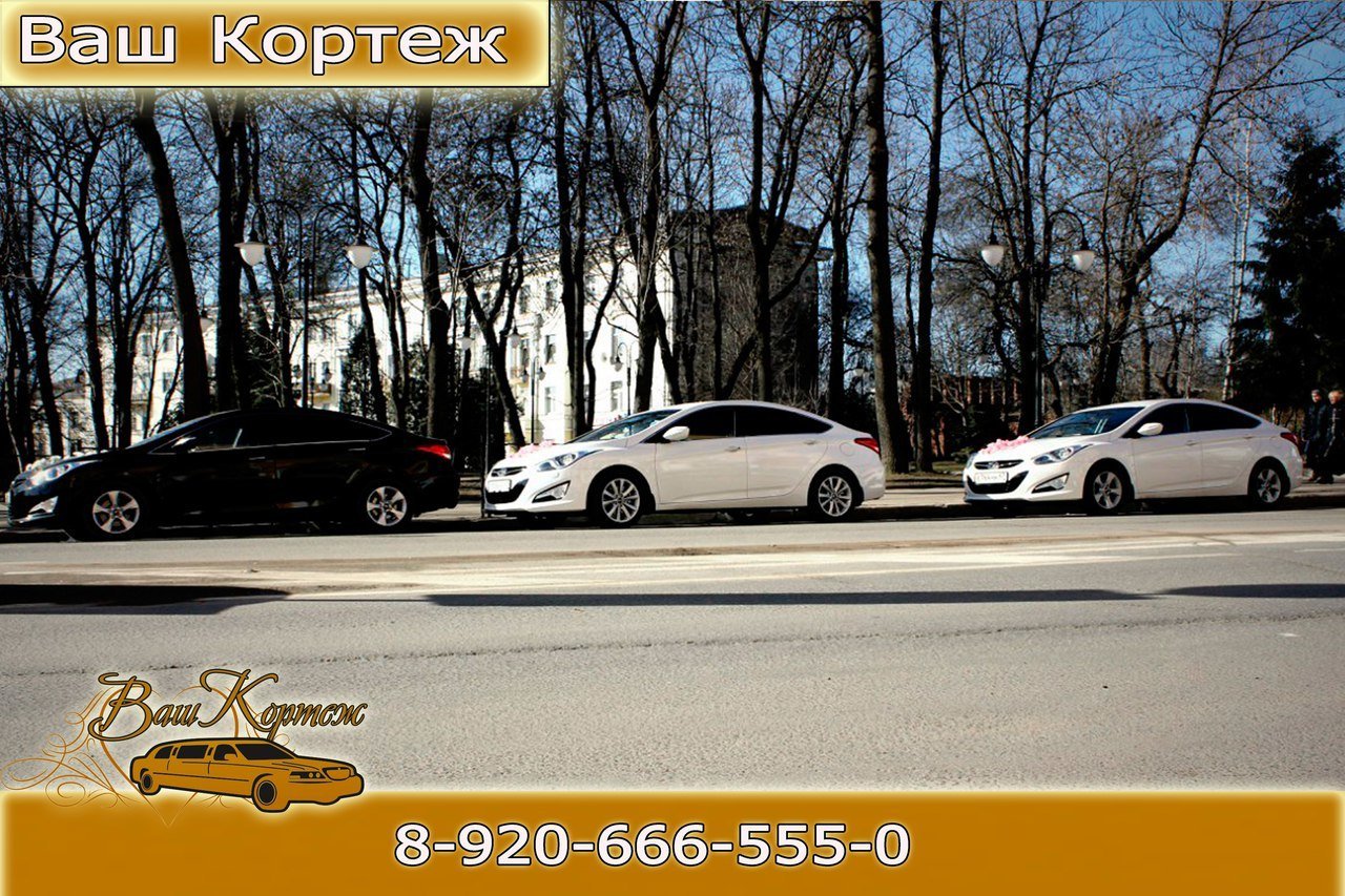 Авторитет прокат авто киров