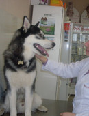 Шишова Татьяна Андреевна