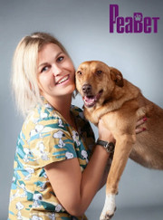 Ветеринарный ортопед, ветеринарный анестезиолог-реаниматолог Елена Сергеевна Василенко